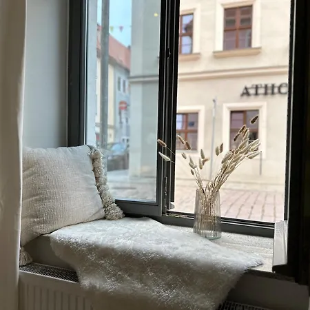 Super Zentral Mit Parkplatz, Fenster Verspiegelt Pirna Exterior photo