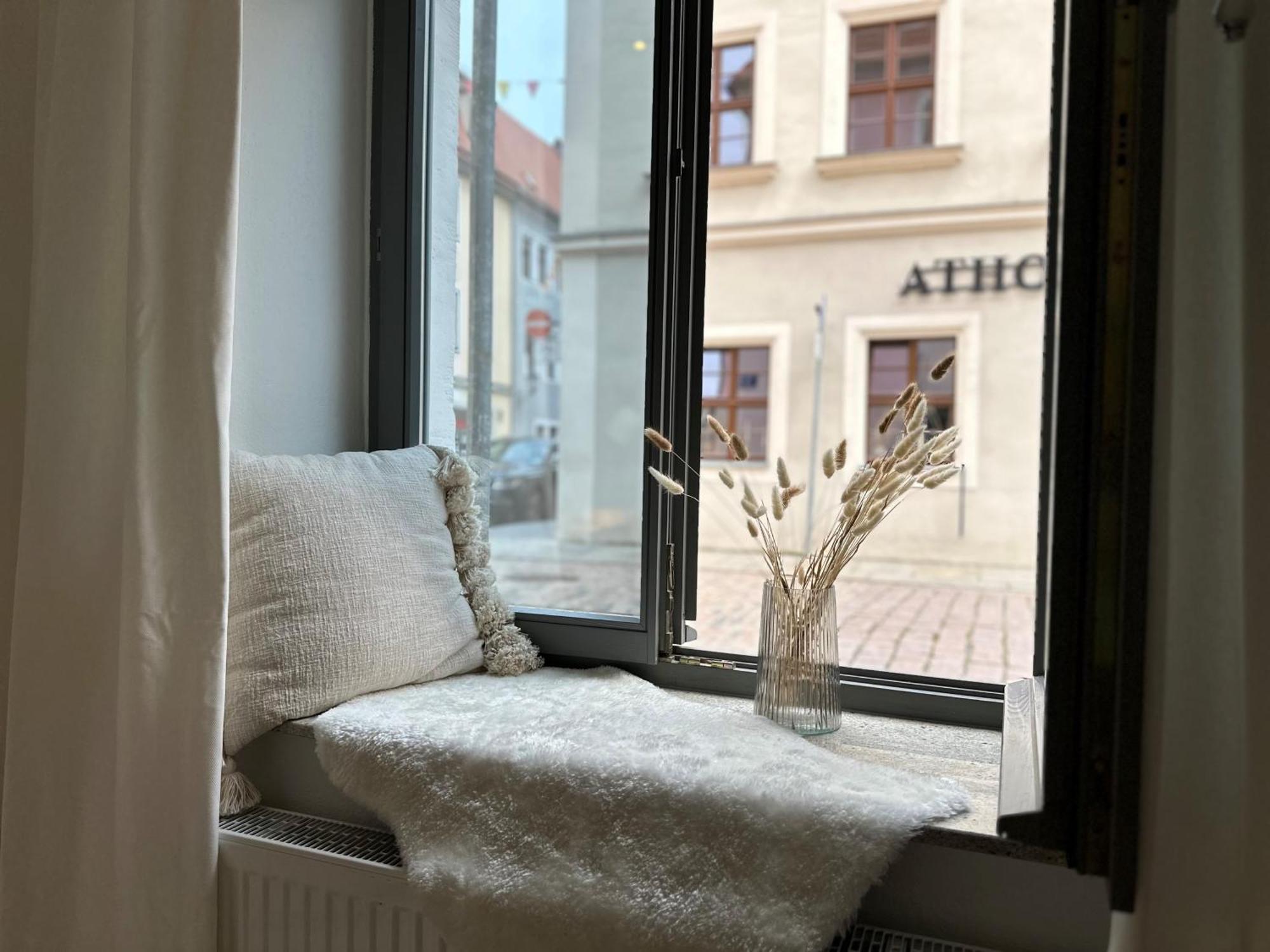 Super Zentral Mit Parkplatz, Fenster Verspiegelt Apartment Pirna